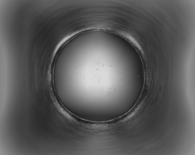 X0000085210944200703301639