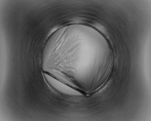 X0000085210945200703301639