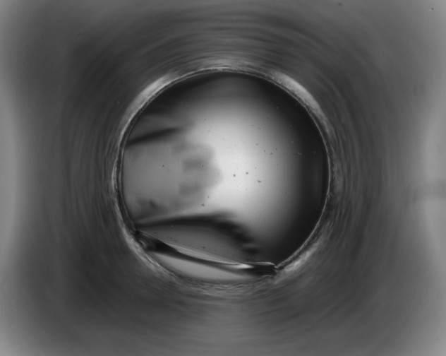 X0000085210946200703301639