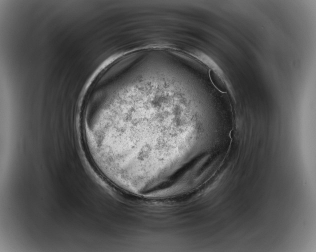 X0000085210947200703301639