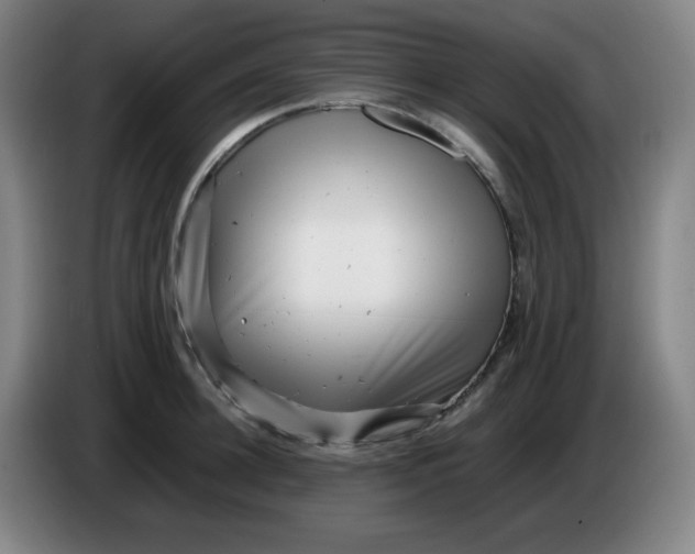 X0000085210948200703301639