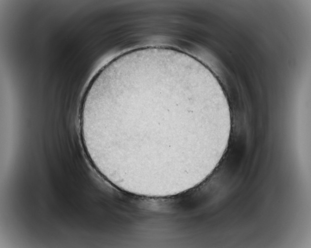 X0000085210950200703301639