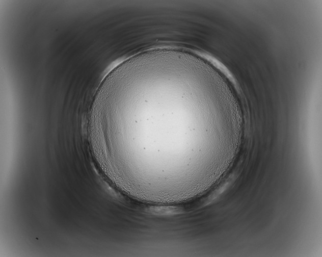 X0000085210953200703301639