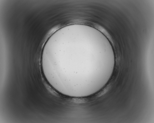 X0000085210954200703301639