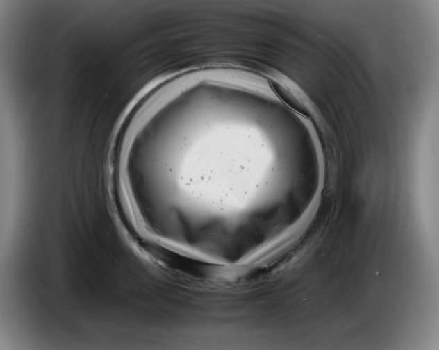 X0000085210955200703301639