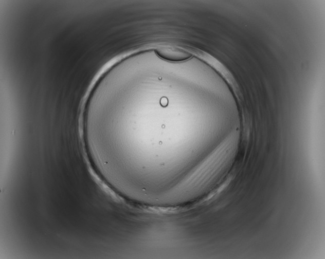 X0000085210958200703301639