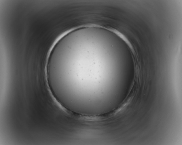 X0000085210959200703301639