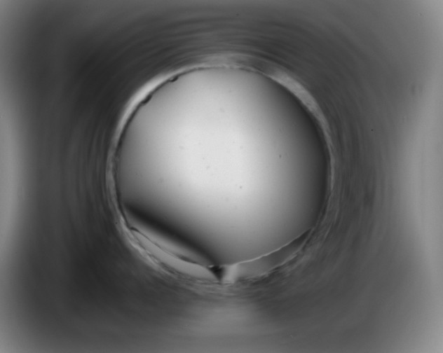 X0000085210960200703301639