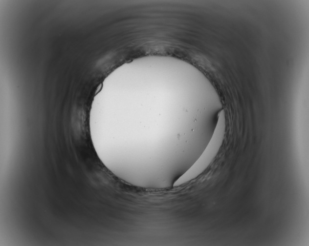 X0000085210964200703301638