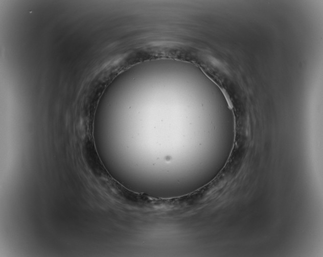 X0000085210965200703301638