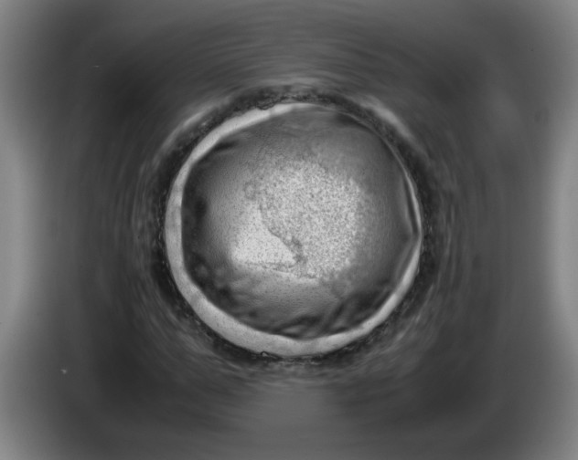 X0000085210967200703301638