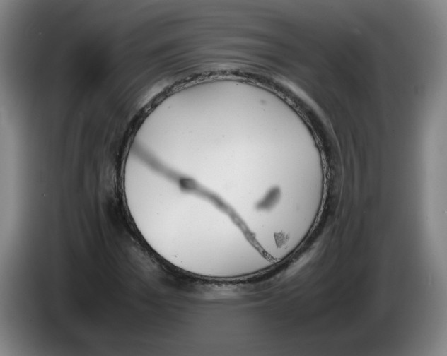 X0000085210969200703301638