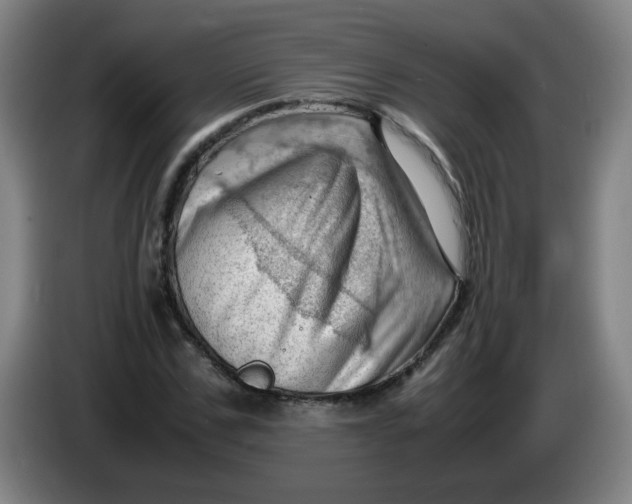 X0000085210971200703301638