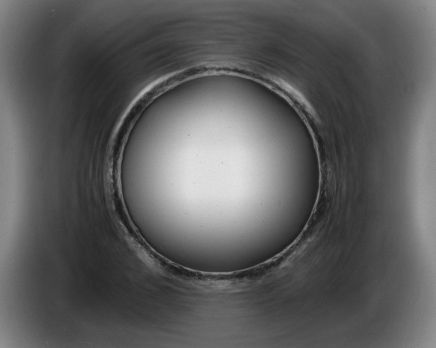 X0000085210976200703301638