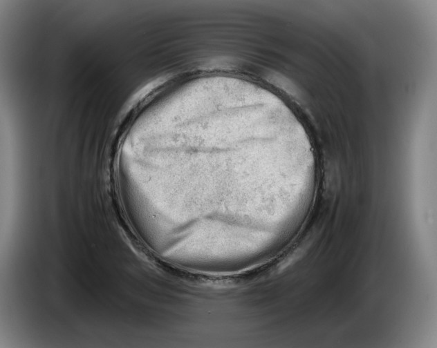 X0000085210978200703301638