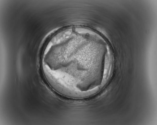 X0000085210979200703301638