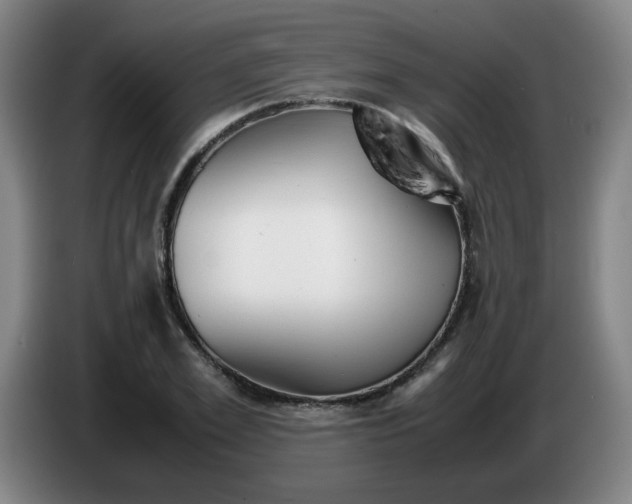 X0000085210981200703301638