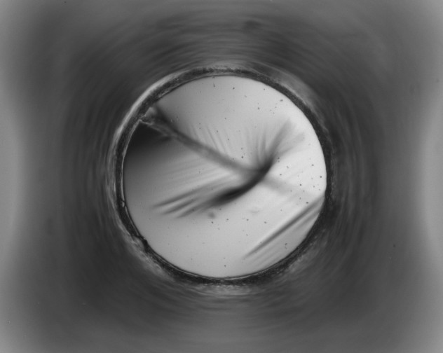 X0000085210984200703301638