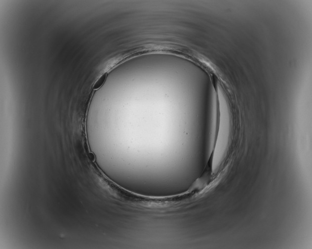 X0000085210985200703301638