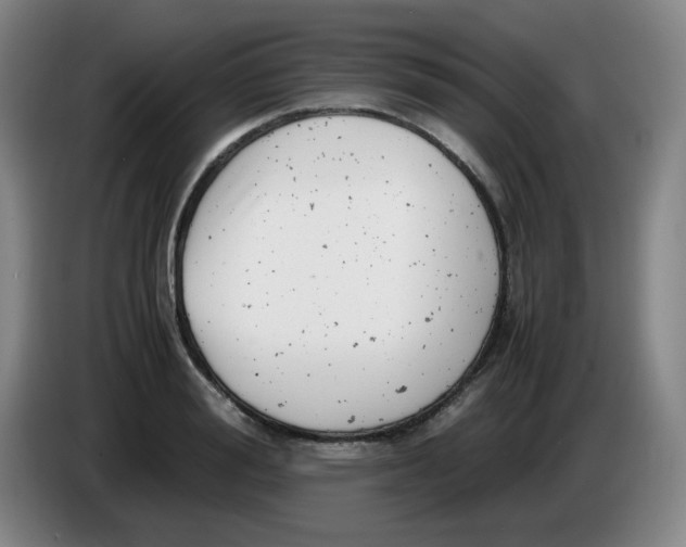 X0000085210988200703301638