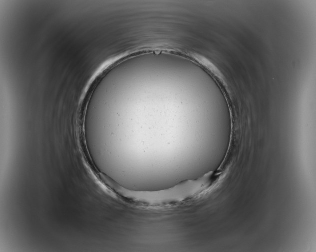 X0000085210989200703301638