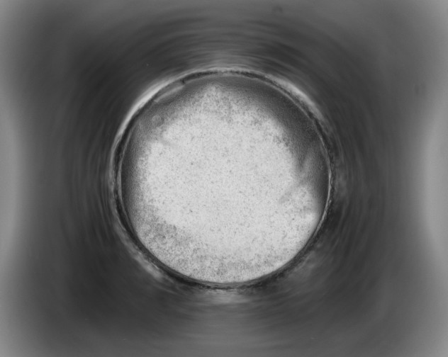 X0000085210990200703301638