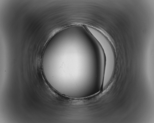 X0000085210993200703301638