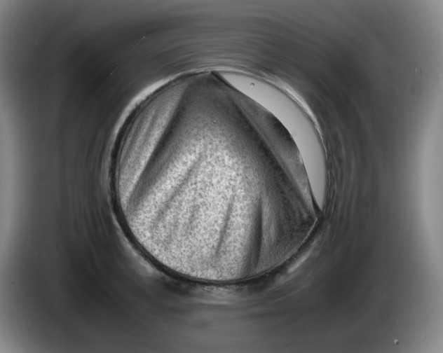 X0000085210995200703301638