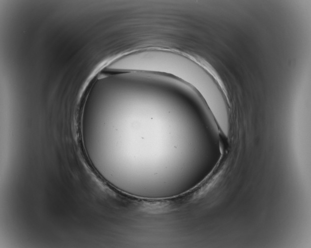 X0000085210997200703301638