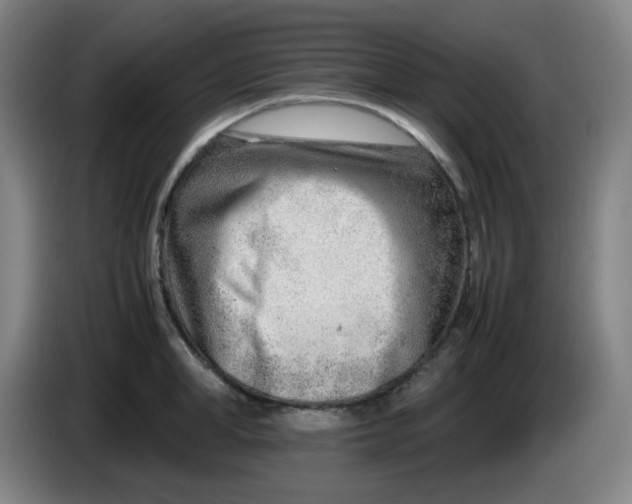 X0000085210998200703301638