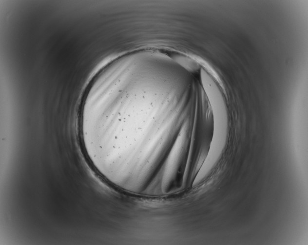 X0000085210999200703301638