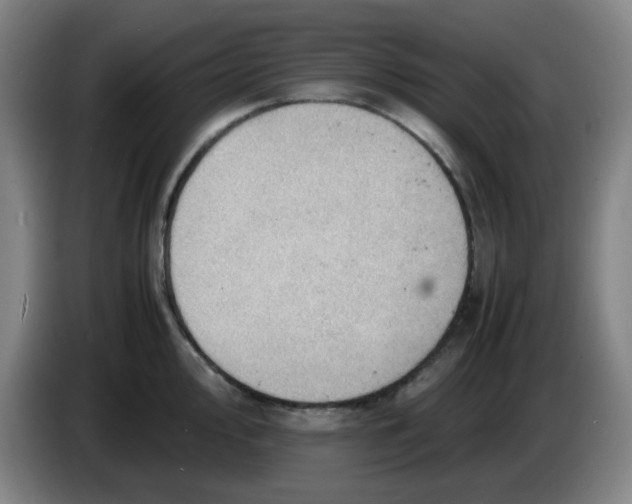 X0000085211000200703301638