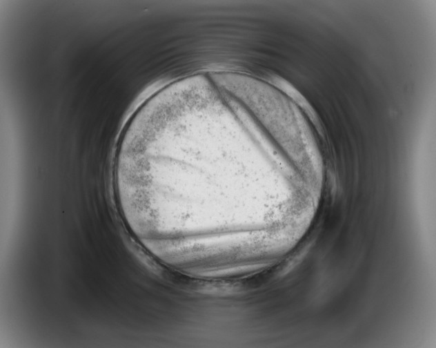 X0000085211002200703301637