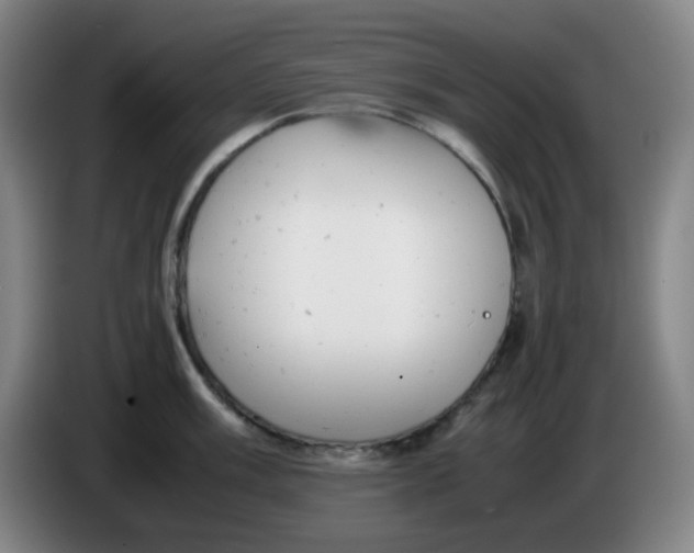 X0000085211003200703301637