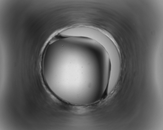 X0000085211005200703301637