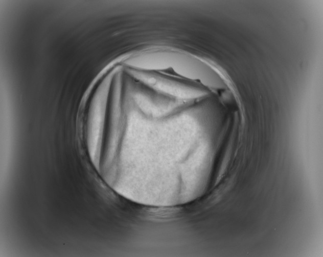 X0000085211008200703301637