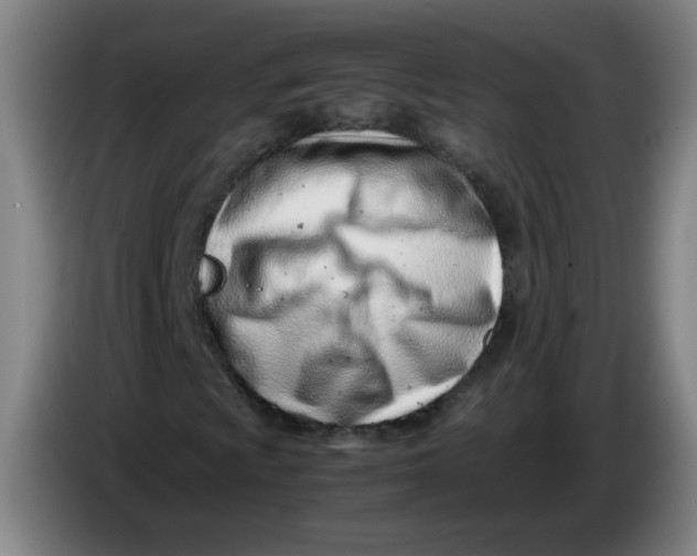 X0000085211009200703301637