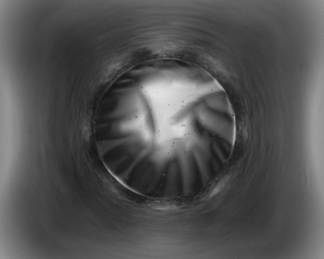 X0000085211012200703301637