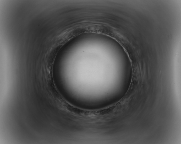 X0000085211013200703301637