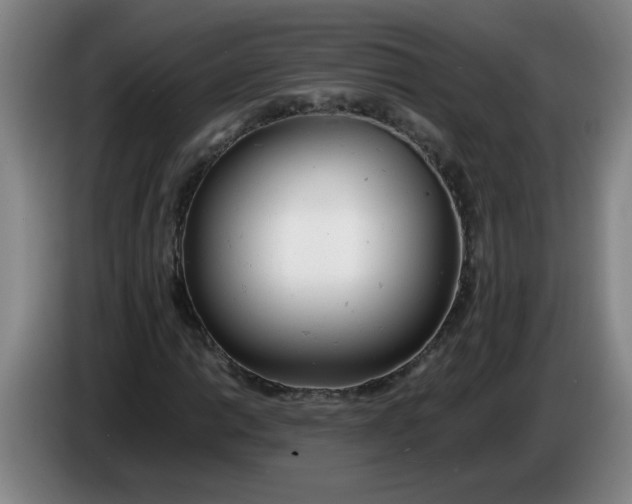 X0000085211014200703301637