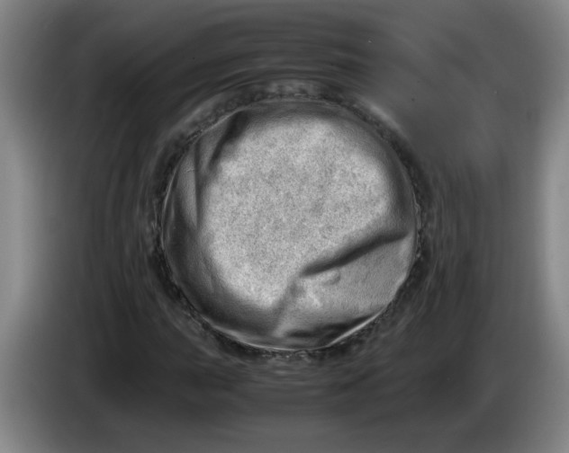 X0000085211015200703301637