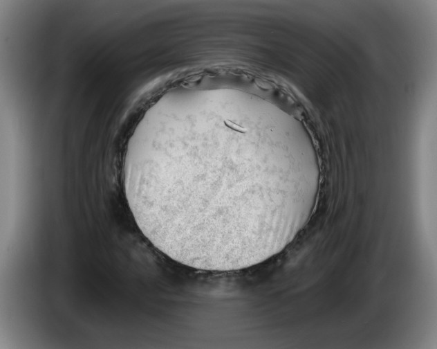 X0000085211016200703301637