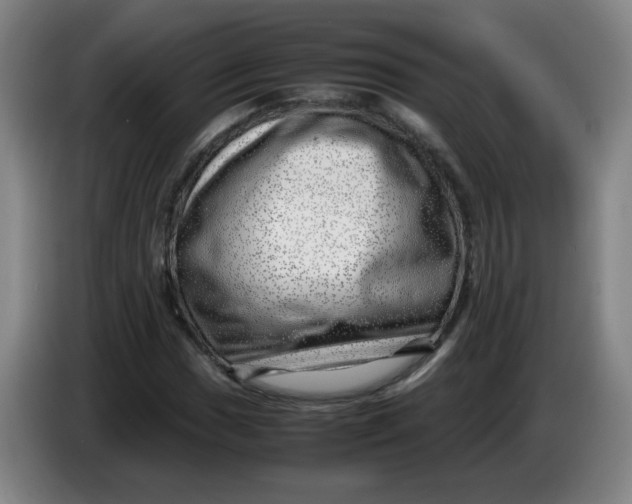 X0000085211017200703301637