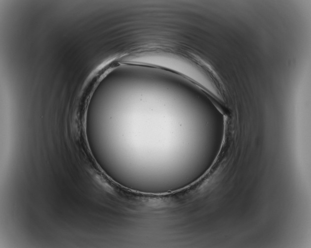 X0000085211018200703301637