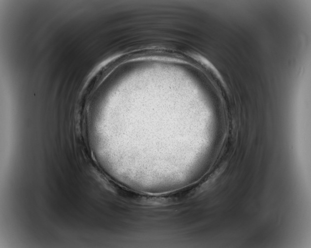 X0000085211019200703301637