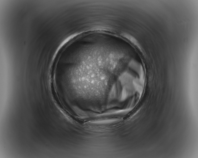 X0000085211024200703301637