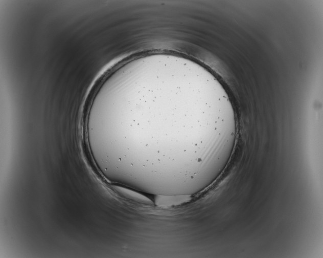 X0000085211028200703301637