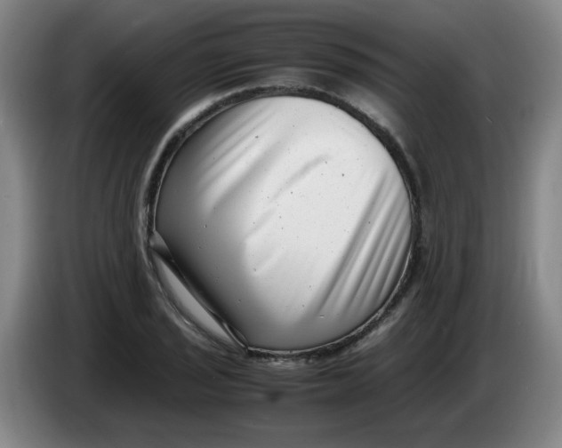 X0000085211029200703301637