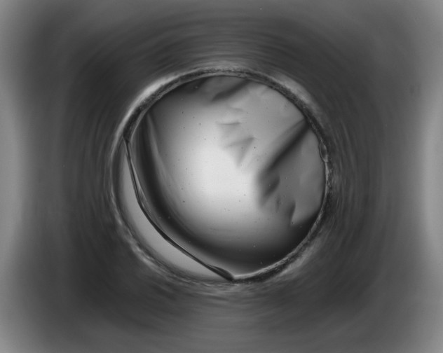 X0000085211030200703301637