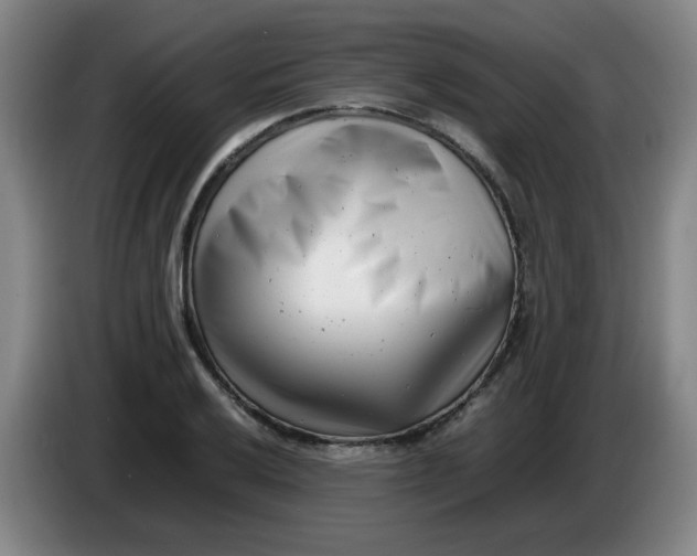 X0000085211032200703301637